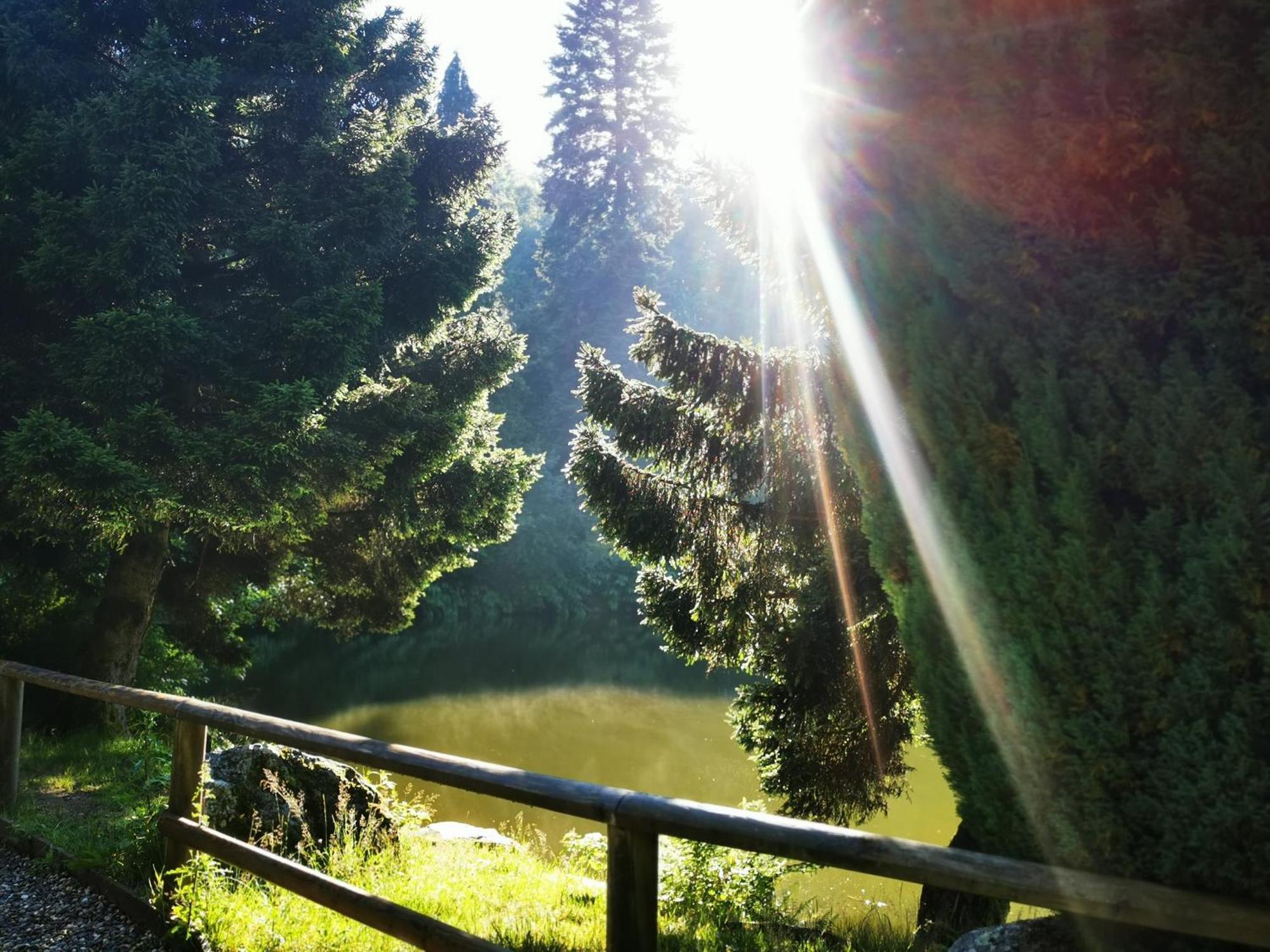 Miuti Apartment Triberg im Schwarzwald