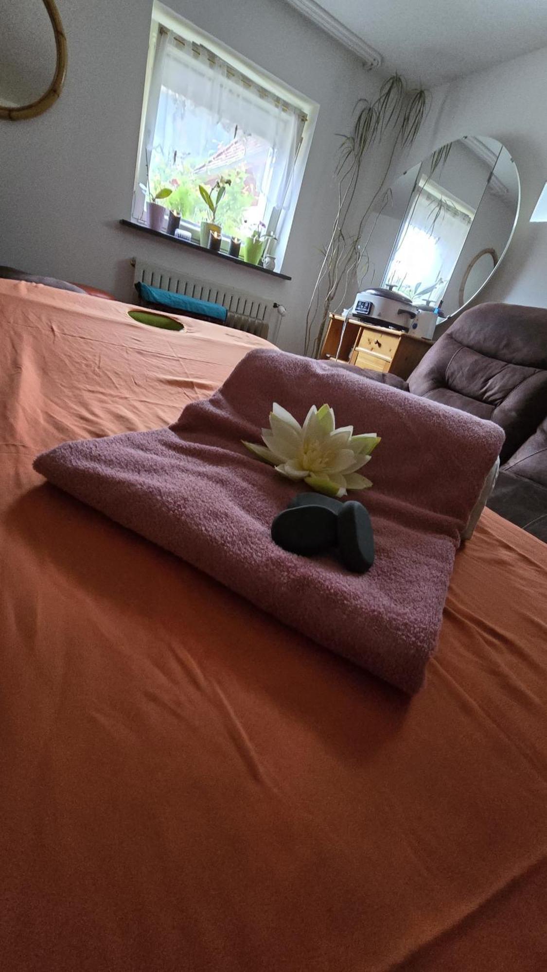Apartment Miuti
