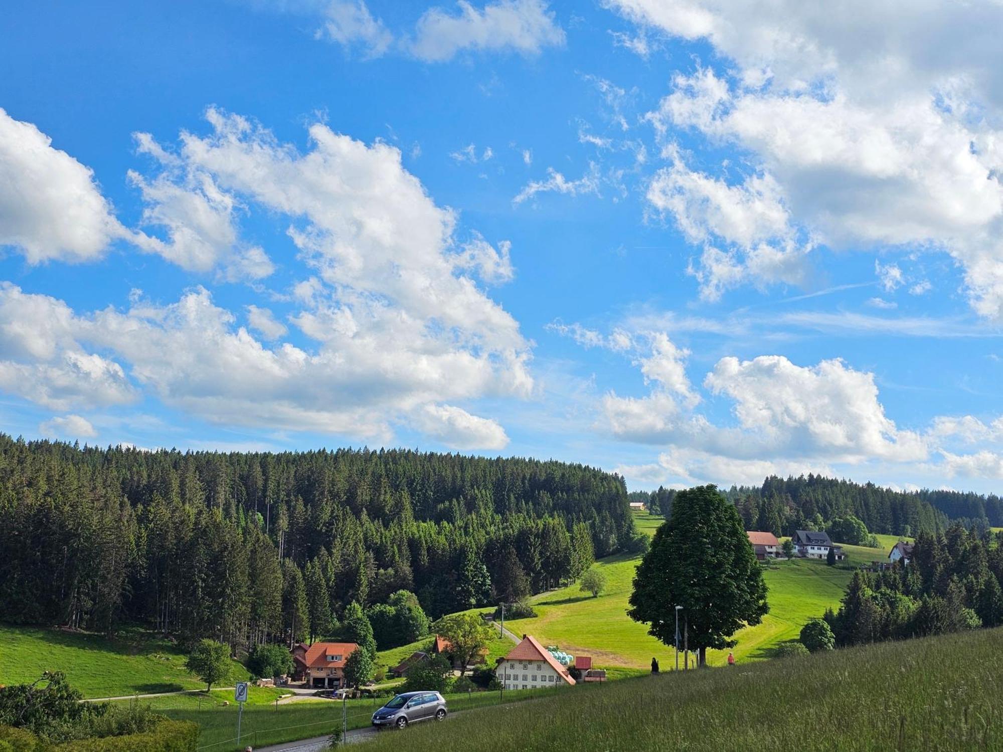 Miuti Triberg im Schwarzwald